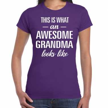 Awesome grandma / oma cadeau t-shirt paars dames